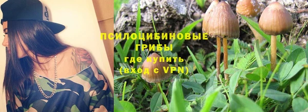 а пвп мука Инта