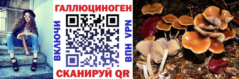 цены   Красноперекопск  Галлюциногенные грибы ЛСД 