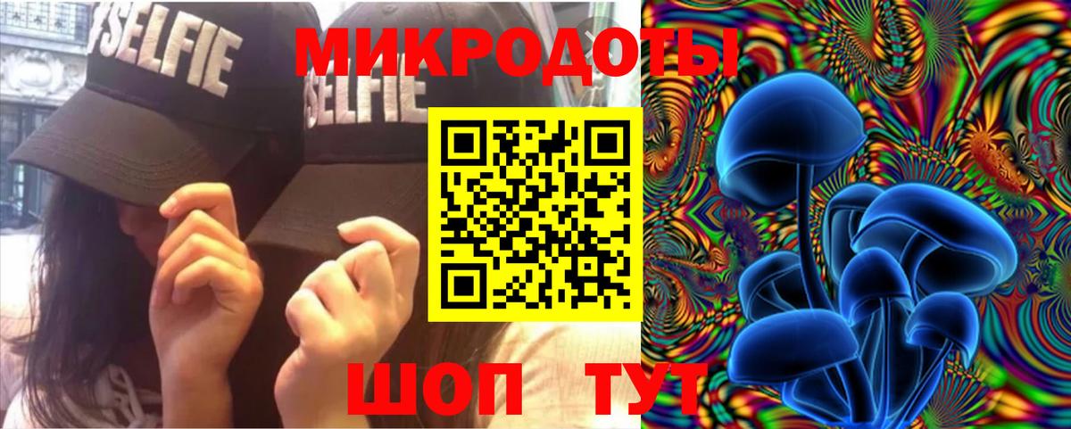 Галлюциногенные грибы Psilocybe Красноперекопск