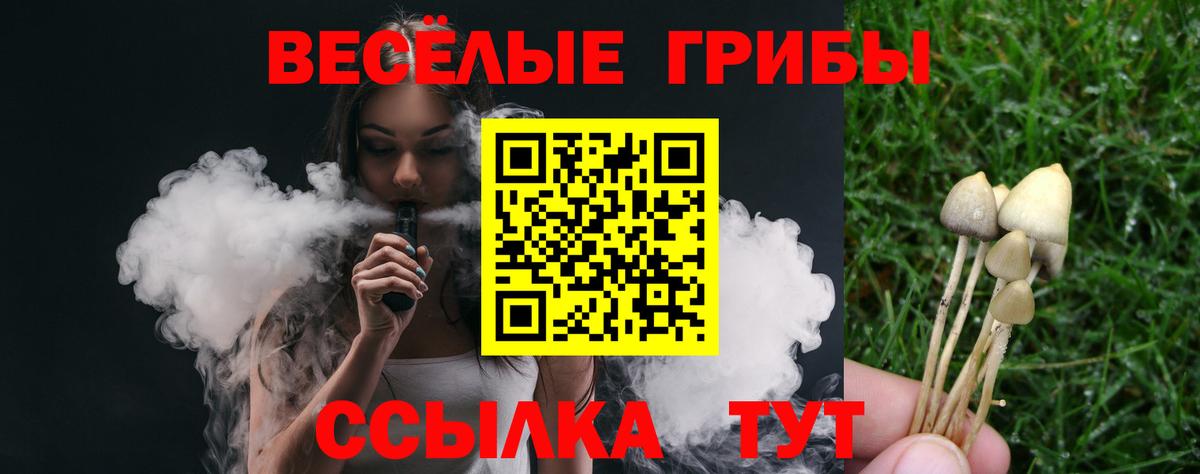 Красноперекопск  Псилоцибиновые грибы мицелий  Вход с VPN 